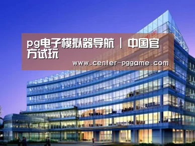 案例展示五