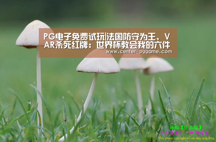 PG电子免费试玩|法国防守为王、VAR杀死红牌：世界杯教会我的六件事